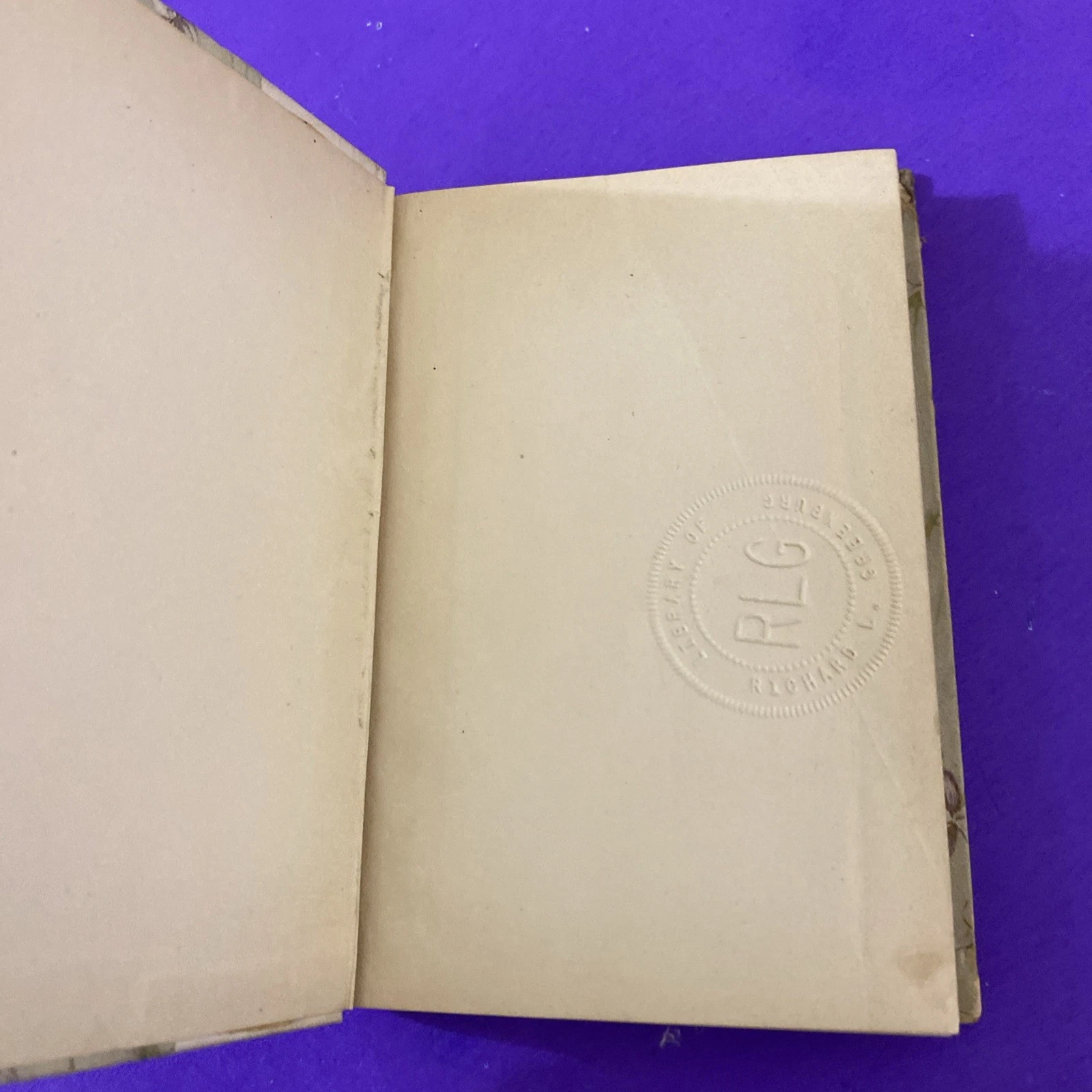 1892-1893 Lady of the Lake Walter Scott Crowell Victorian Floral Gift Binding HC - Image 2