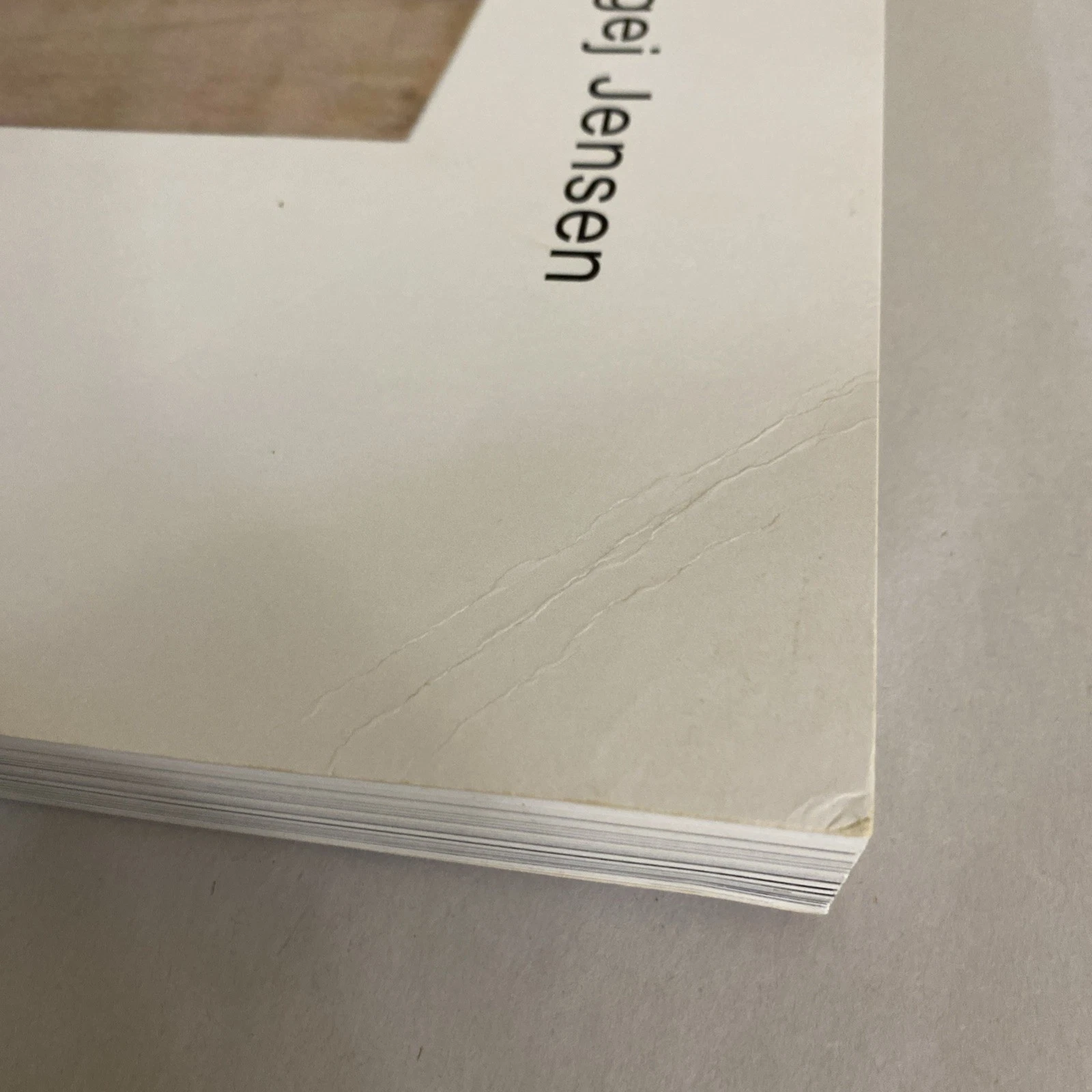 Sergej Jensen 2011 Distanz monograph art book German English 300pp illustrated - Image 3