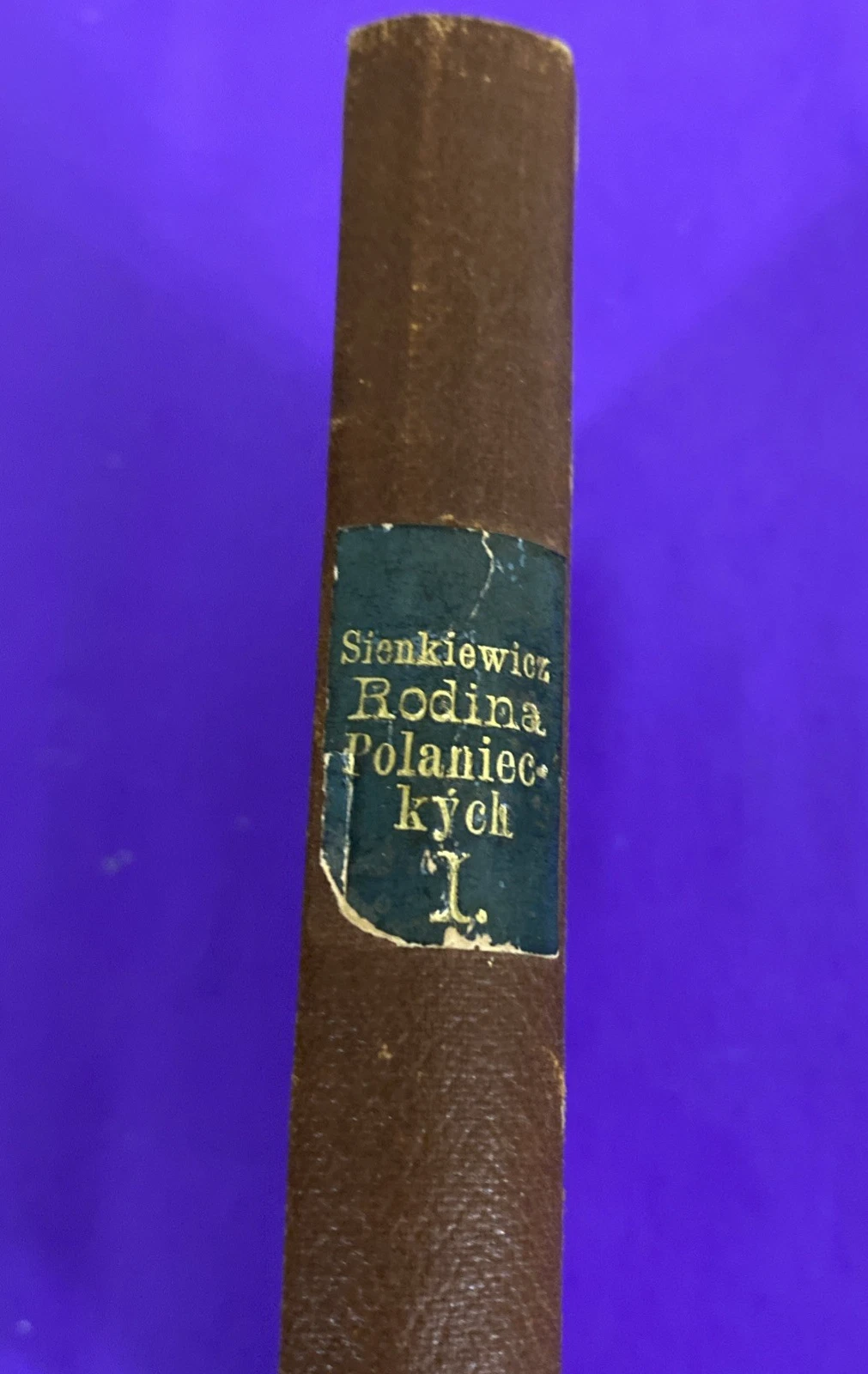 1901 Sienkiewicz Rodina Polanieckých Czech Antique Books Vol I & III - Image 3