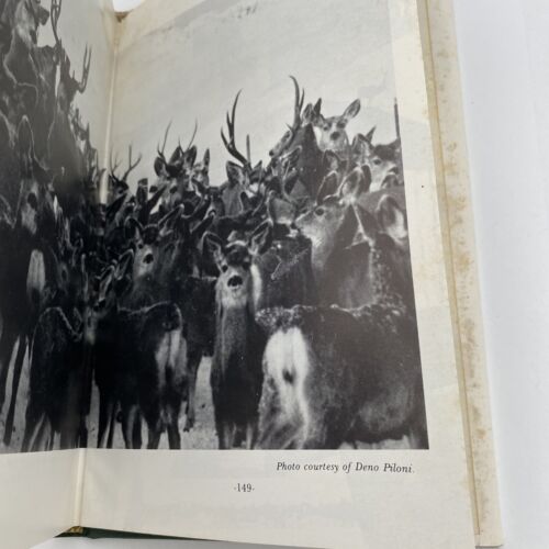 Hunters attract flies-- fishermen do too! Hardcover – 1985 - Signed 1st Edition - Image 10