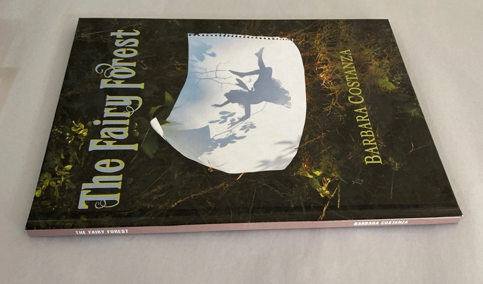 The Fairy Forest: a true story - Inscribed By Barbara Costanza - Hardcover - Image 11