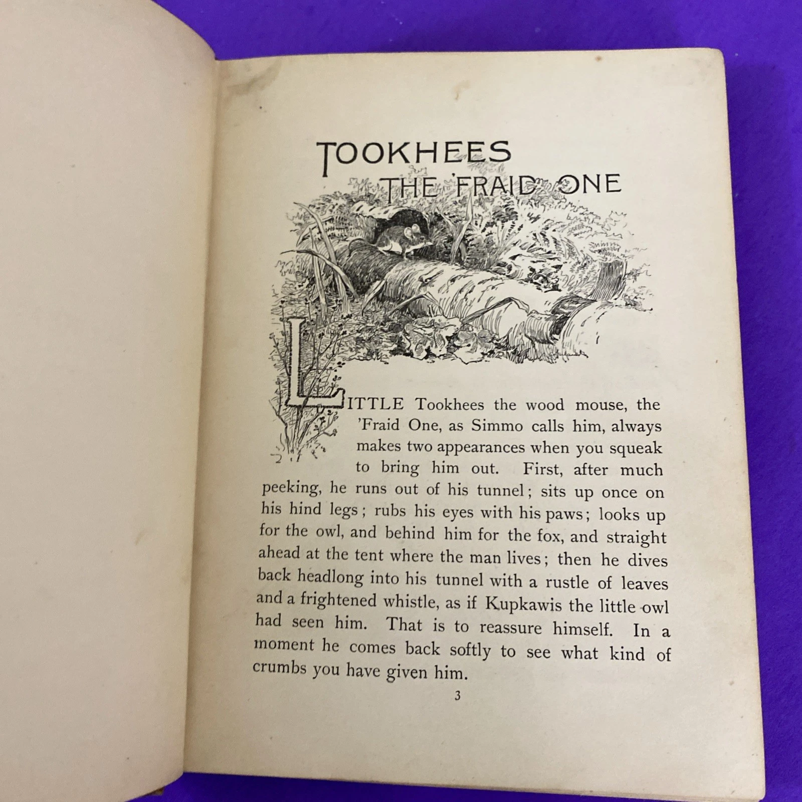 1902 Secrets of the Woods William J Long Charles Copeland Illustrated Antique HC - Image 8