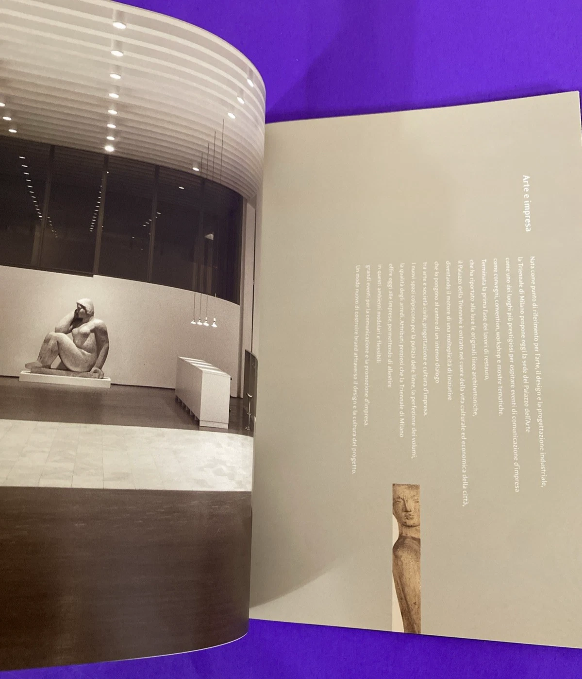Palazzo della Triennale Brand by Design Milan Mazzotta Art Design Catalog Scarce - Image 6