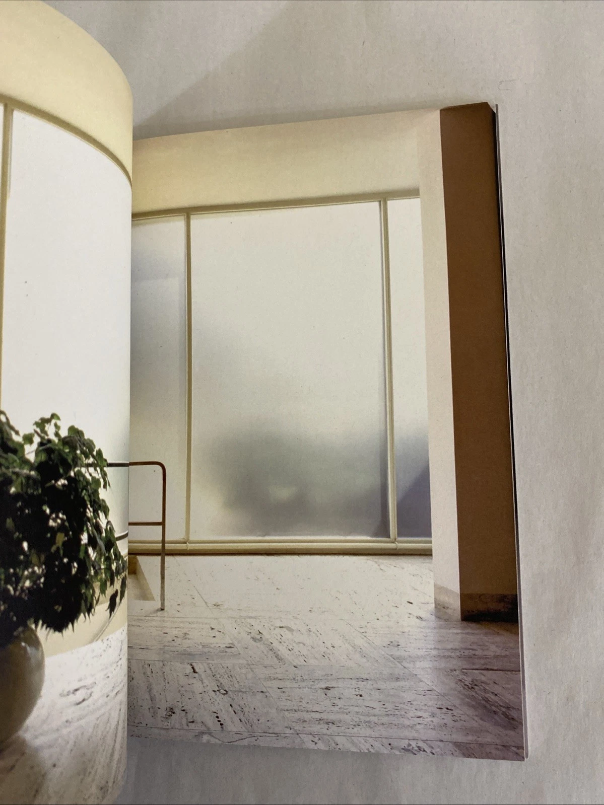 Mary Gaudin Villa Tugendhat Mies van der Rohe Divisare Book 193 - Image 2