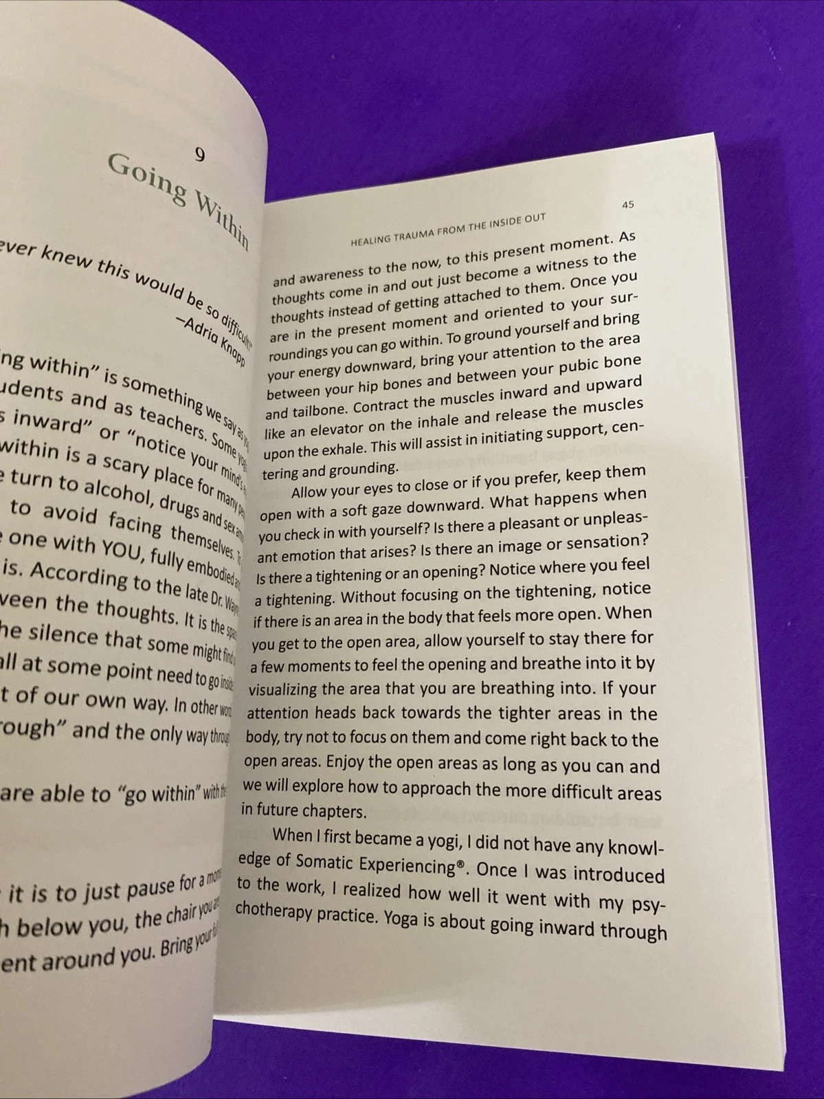 Pamela Tinkham Signed & Inscribed Healing Trauma Inside Out Full Color Book 2017 - Image 6