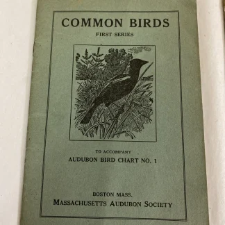 Audubon Common Birds 1st & 2nd Series Ralph Hoffmann Mass Audubon 1920s Lot