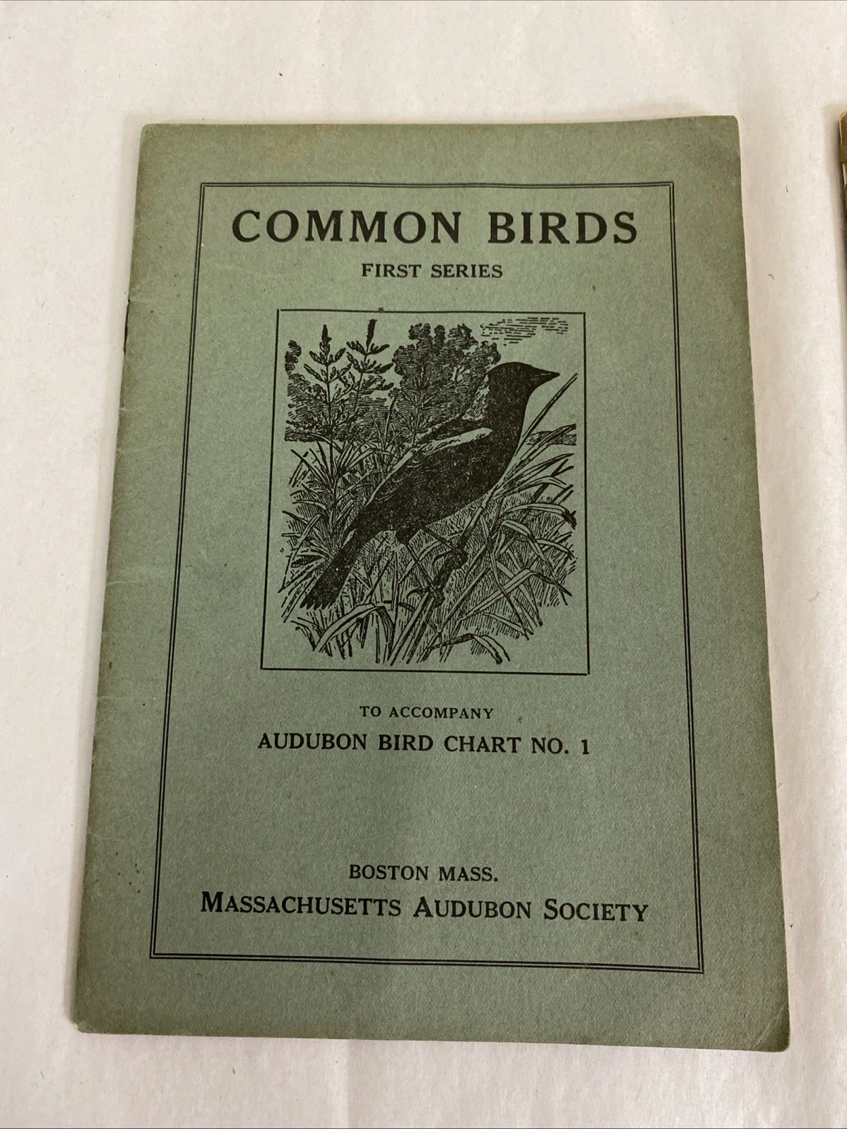 Audubon Common Birds 1st & 2nd Series Ralph Hoffmann Mass Audubon 1920s Lot