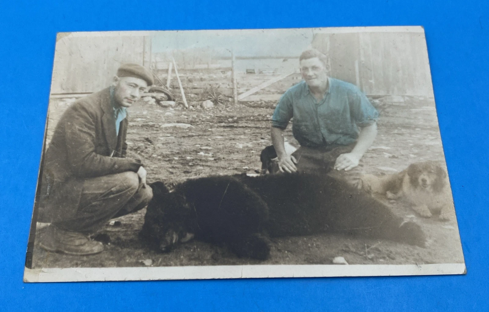 1935 Bear Hunt Snapshot Photo, Two Hunters & Dogs, Lightly Hand-Tinted Cheeks US