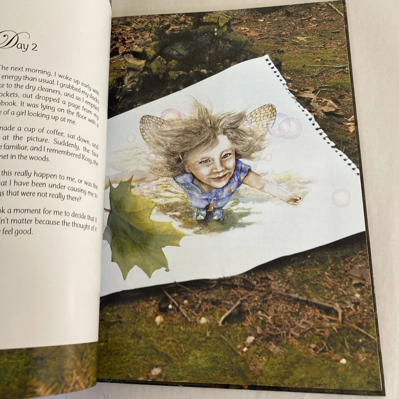 The Fairy Forest: a true story - Inscribed By Barbara Costanza - Hardcover - Image 7