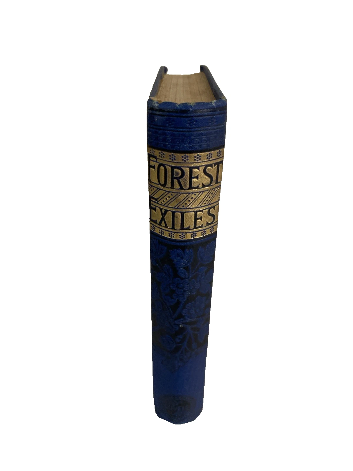Forest Exiles Mayne Reid 1889 Lovell Victorian blue gilt boys adventure - Image 2
