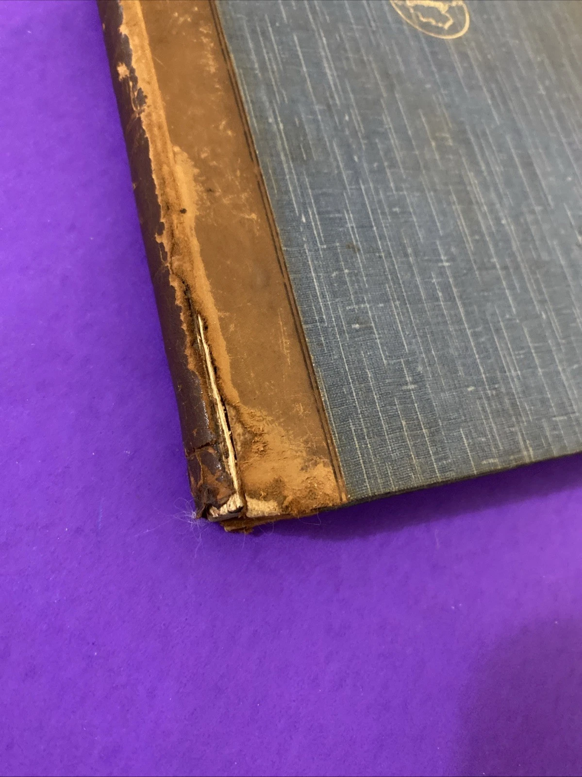 c1889 Trench English Past and Present Humboldt Library Half Leather Antique Book - Image 2