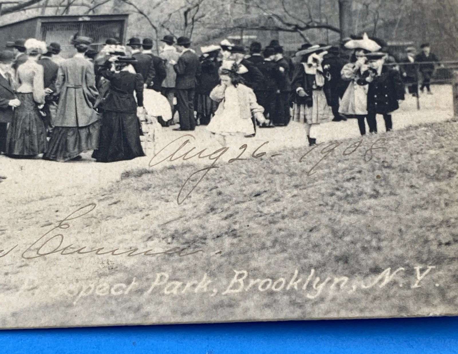 1908 Prospect Park Menagerie Brooklyn NY Rotograph D106 Zoo Postcard 1c Franklin - Image 3