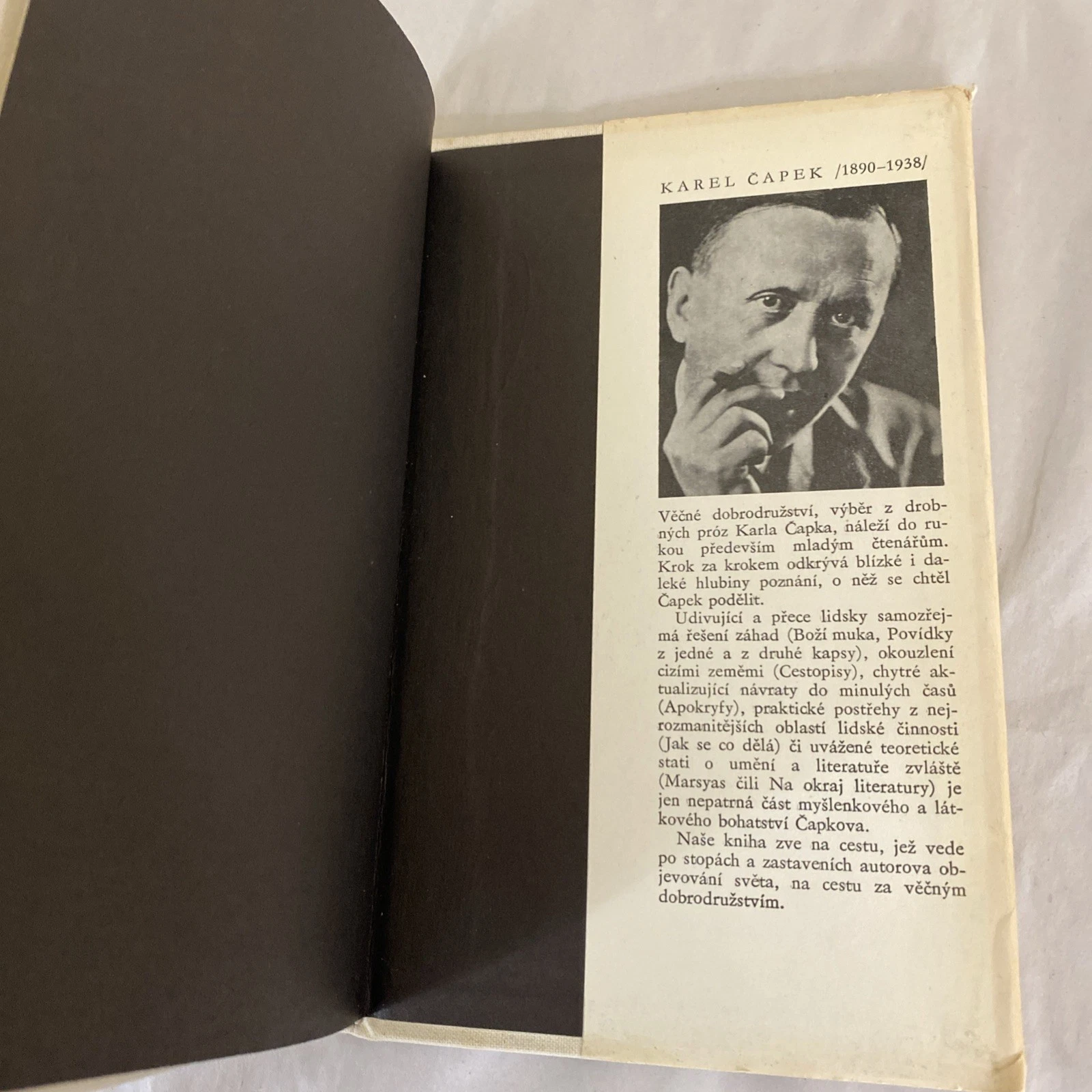 Karel Capek Vecne Dobrodruzstvi 1984 Czech Hardcover DJ Prague Vintage - Image 9