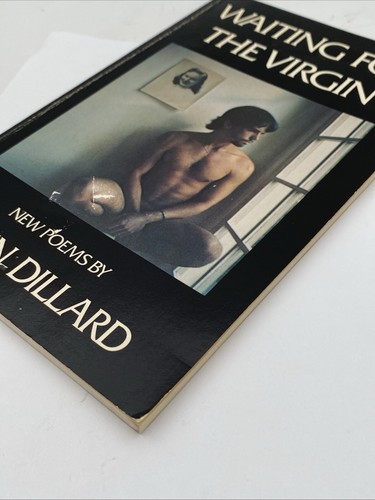 Waiting For The Virgin: New Poems By Gavin Dillard - Inscribed - Image 5