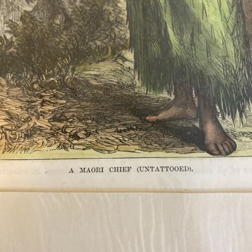 A Maori Chief (Untattooed) Antique Colored Engraving - Image 2