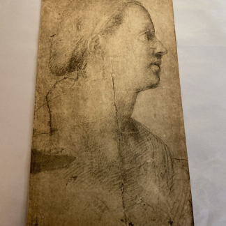 Rare Alinari Print - "Testa di Donna" by Andrea del Sarto - Renaissance Artwork