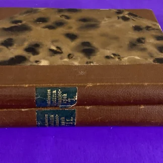 1901 Sienkiewicz Rodina Polanieckých Czech Antique Books Vol I & III