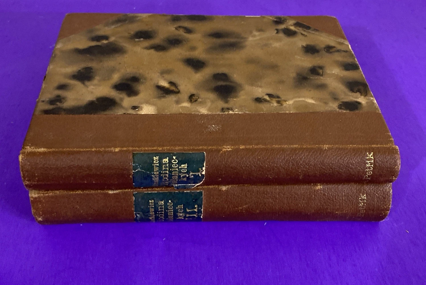 1901 Sienkiewicz Rodina Polanieckých Czech Antique Books Vol I & III