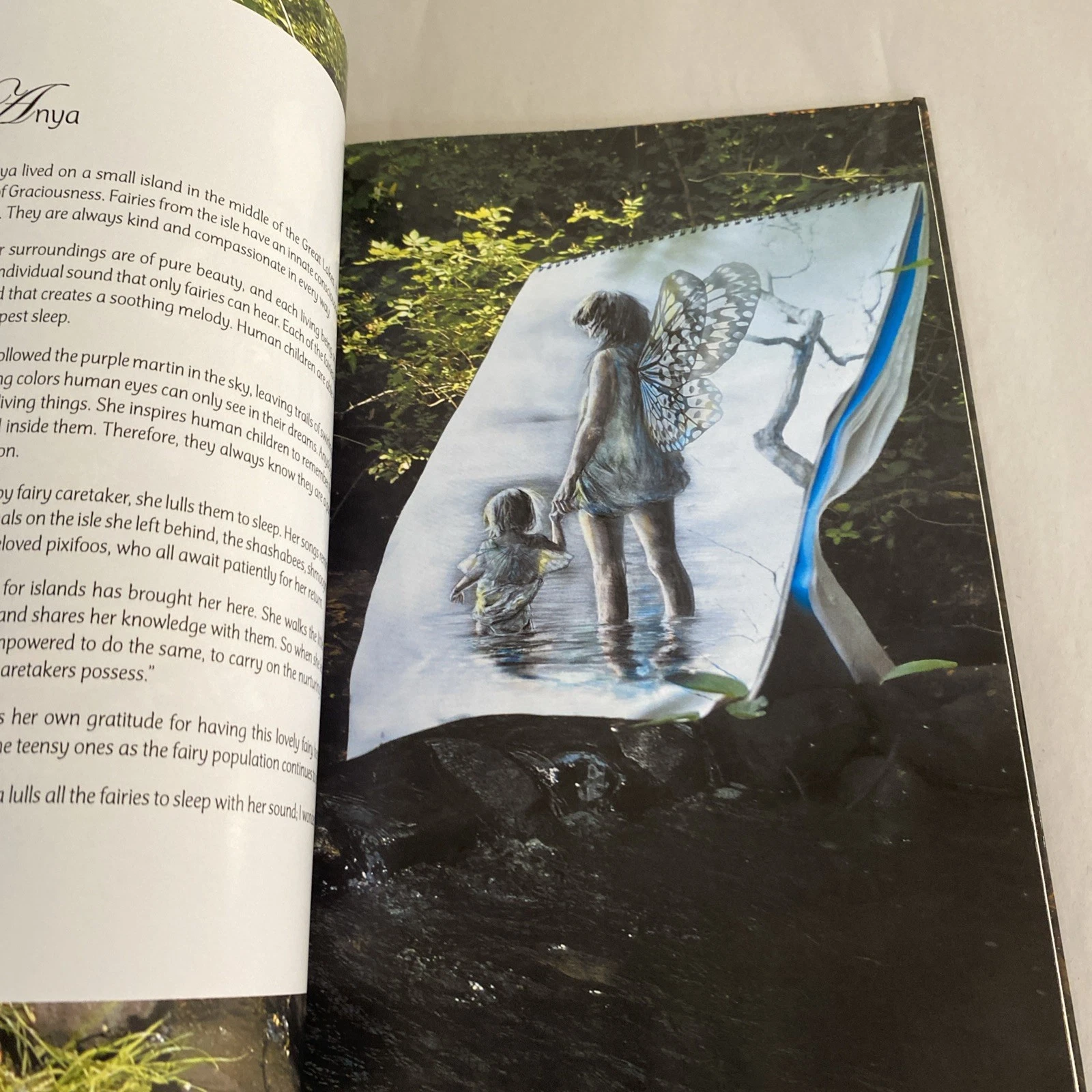 The Fairy Forest: a true story - Inscribed By Barbara Costanza - Hardcover - Image 8
