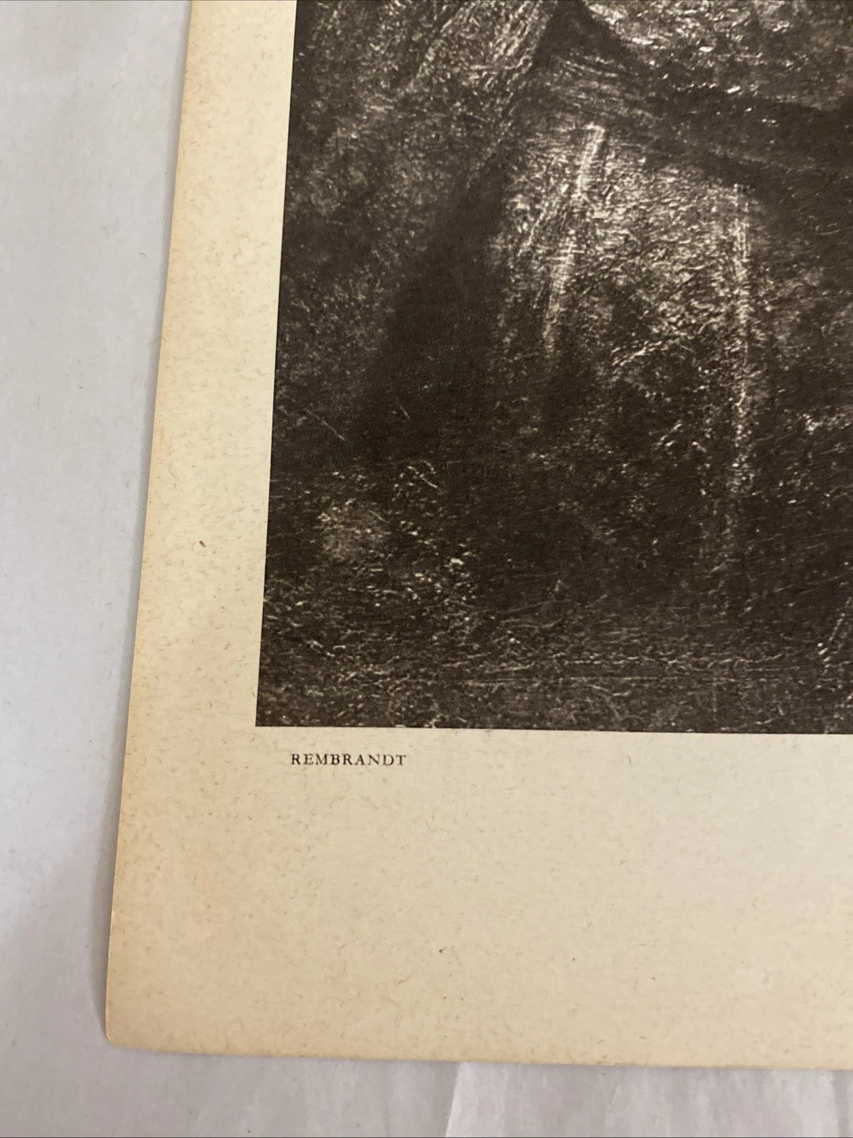 1939 Verve Rembrandt leaf: Jewish Bride (detail) + Young Woman portrait gravure - Image 2