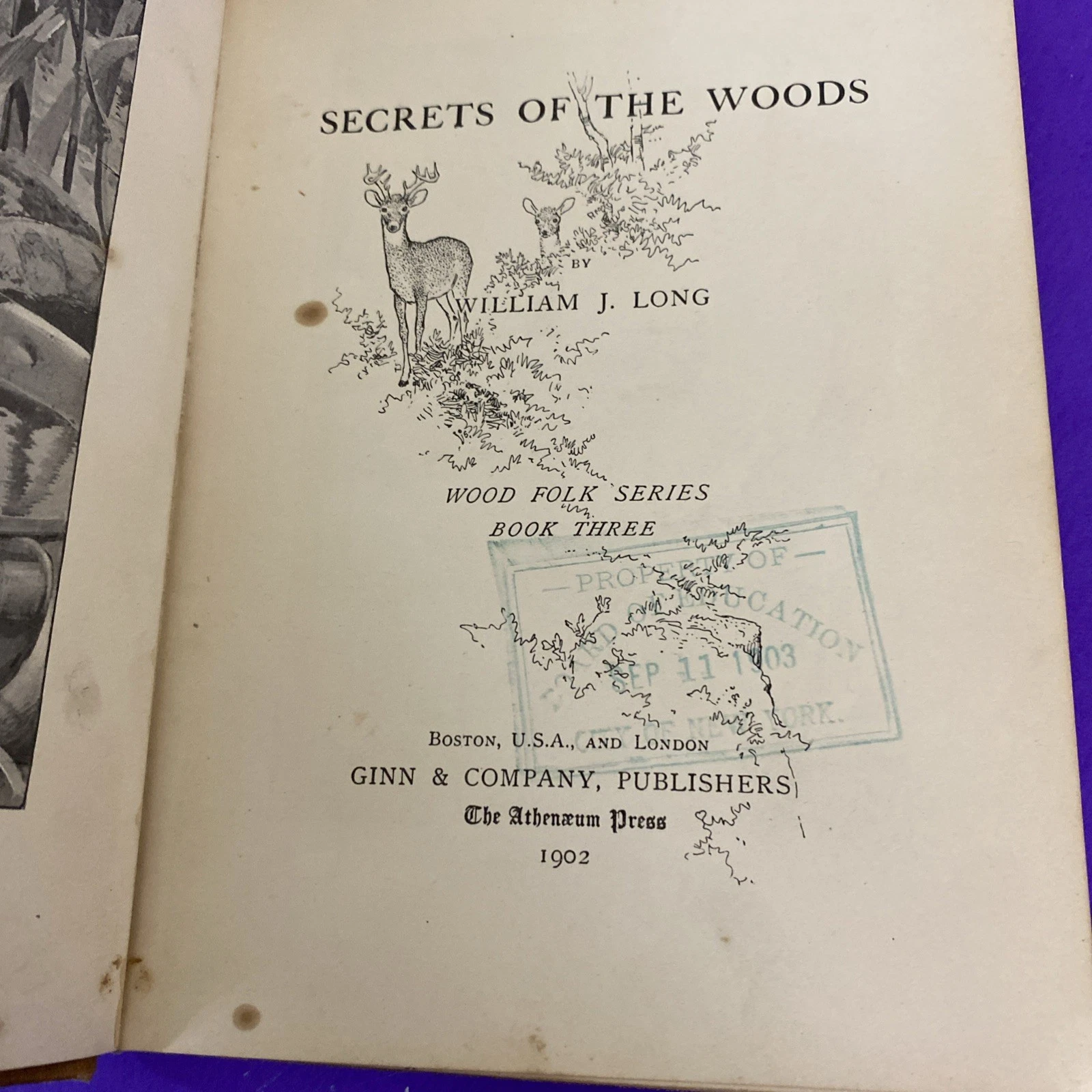 1902 Secrets of the Woods William J Long Charles Copeland Illustrated Antique HC - Image 4