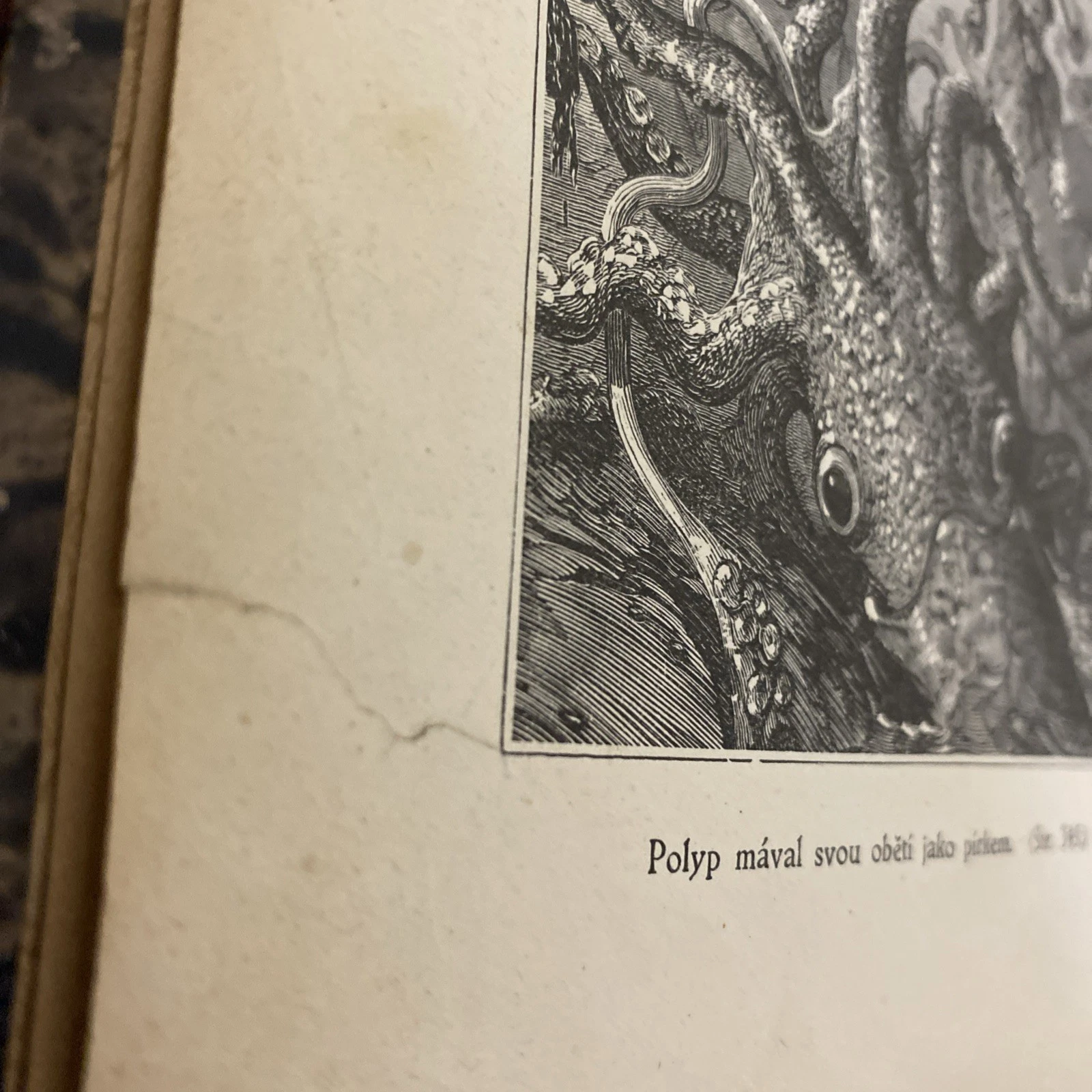 1928 Jules Verne Dvacet Tisic Mil Pod Morem Czech Illustrated Vilimek Book - Image 3