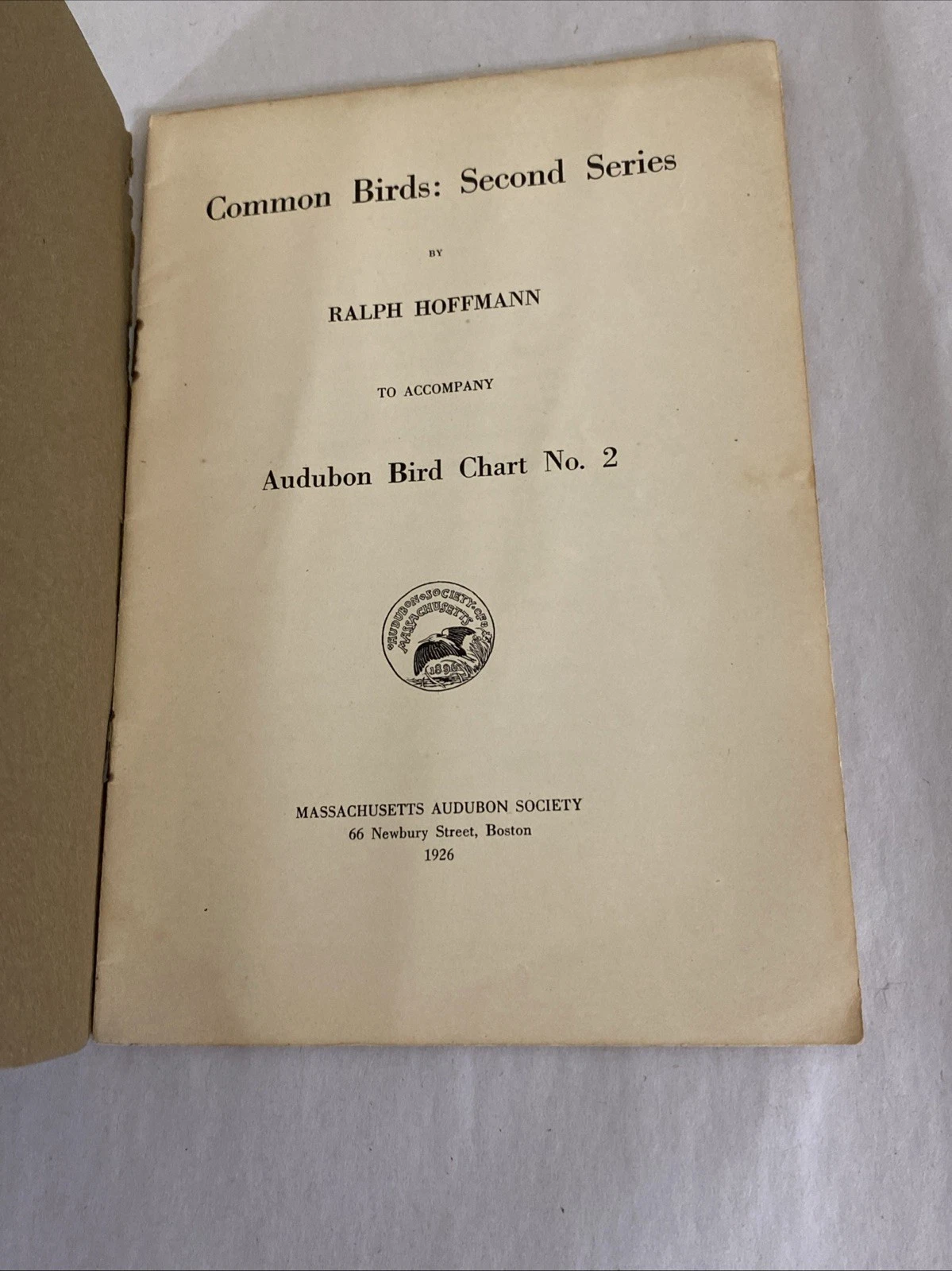 Audubon Common Birds 1st & 2nd Series Ralph Hoffmann Mass Audubon 1920s Lot - Image 9