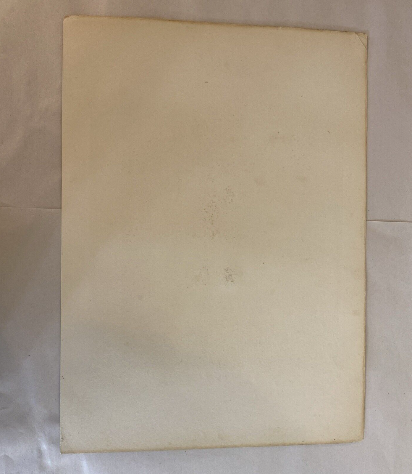 The Surrey Union Fox Hounds Elliott & Fry Photogravure on Horses for Fox Hunt - Image 4