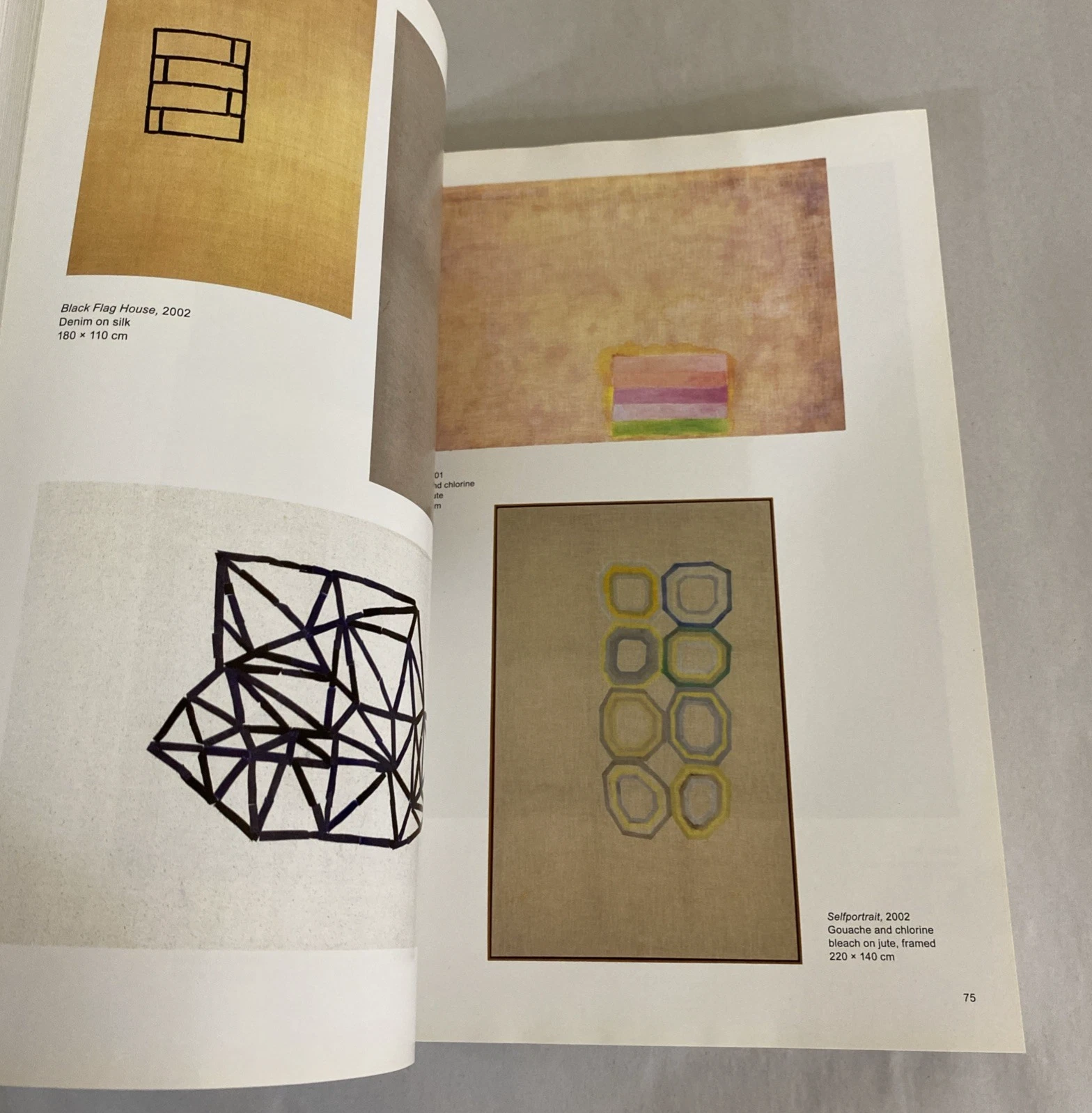 Sergej Jensen 2011 Distanz monograph art book German English 300pp illustrated - Image 9