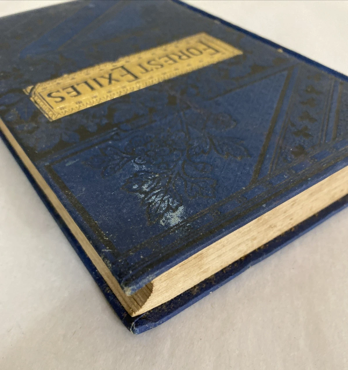 Forest Exiles Mayne Reid 1889 Lovell Victorian blue gilt boys adventure - Image 6