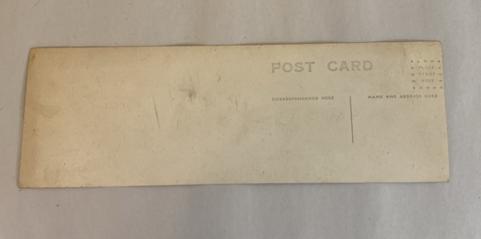 1916 Florida RPPC Set – Parade, Tour Boat, Citrus, Moss Tunnels, Scenic Views - Image 6