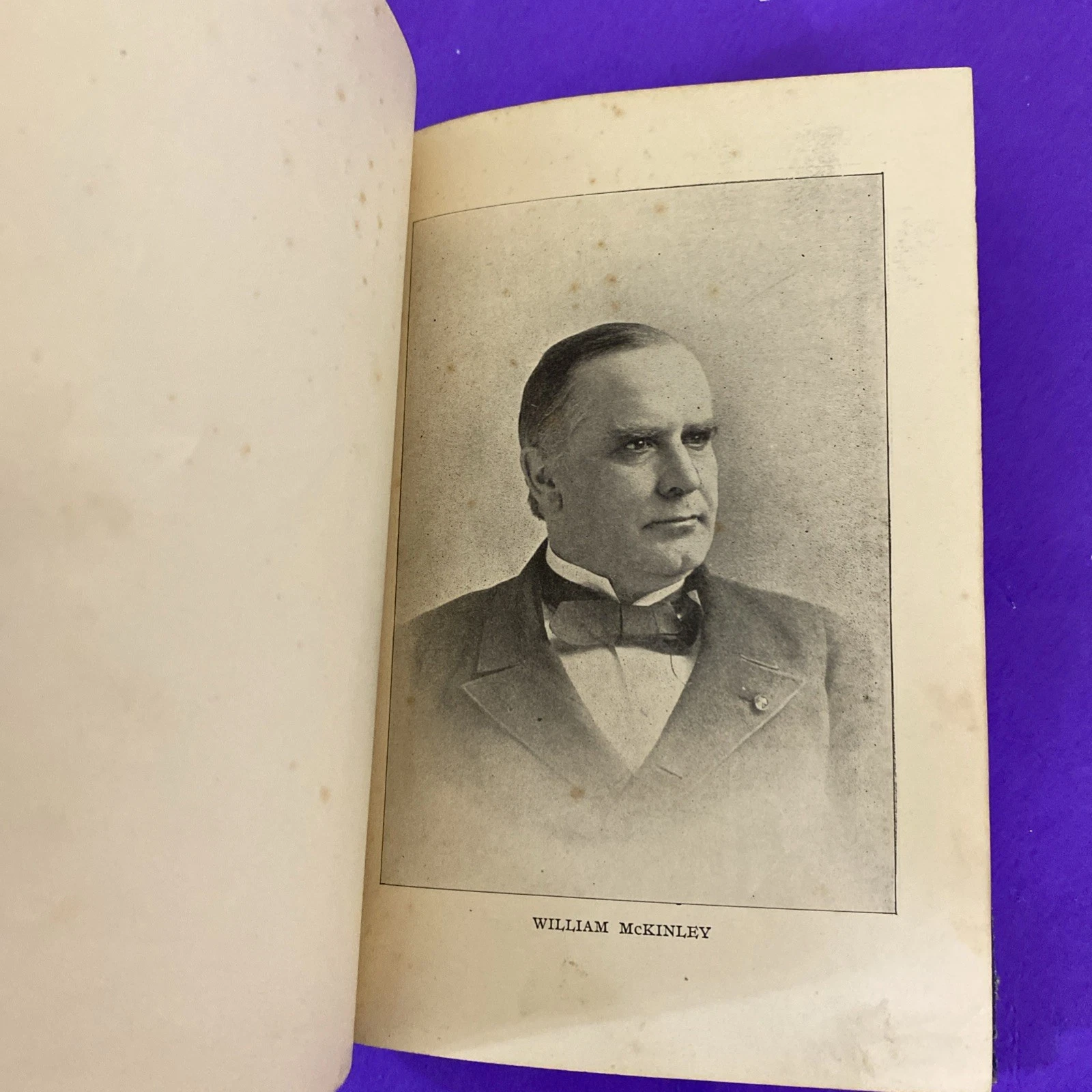 1896 The Great Campaign Prescott McKinley Bryan Gold Silver Political History HB - Image 5