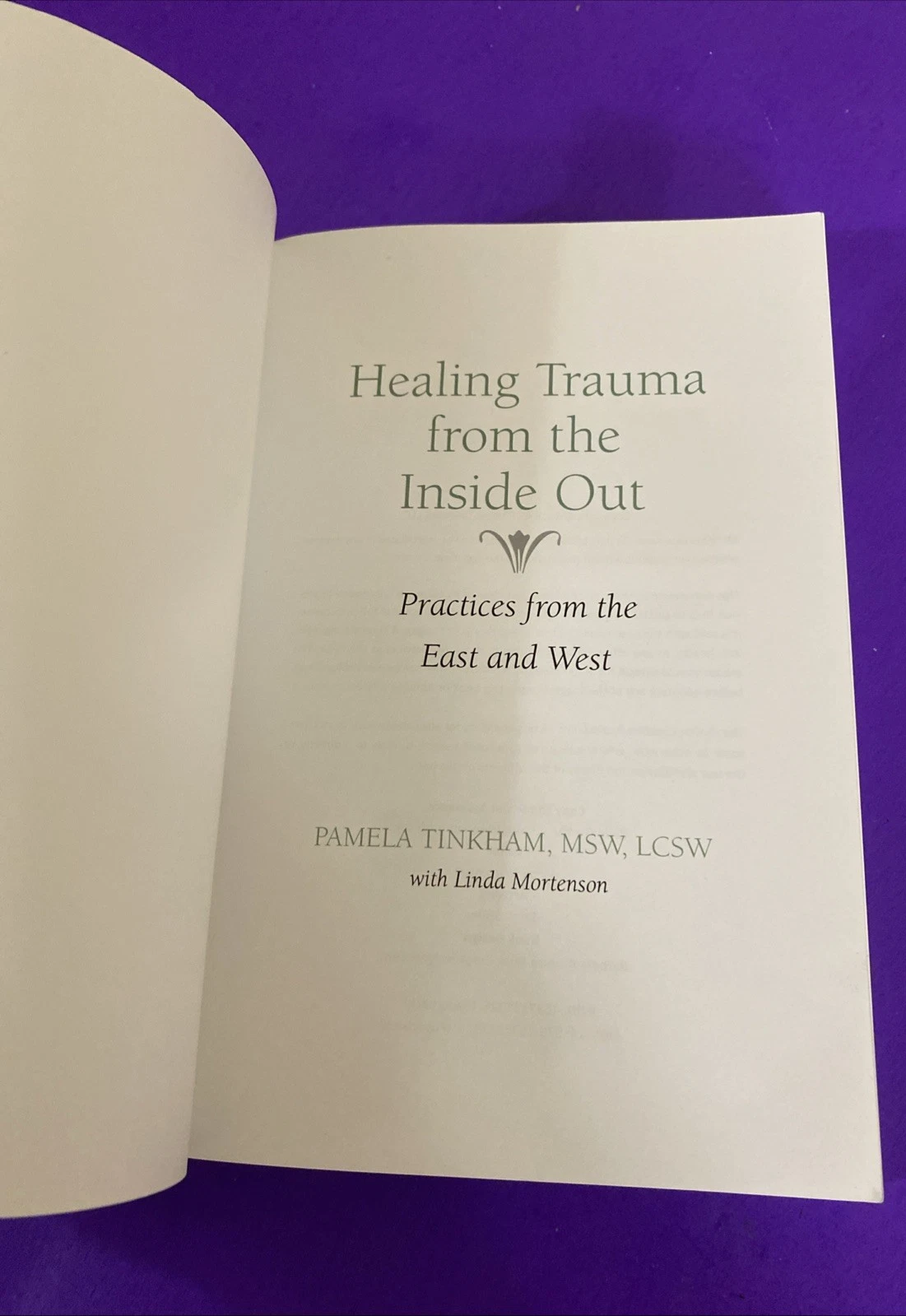 Pamela Tinkham Signed & Inscribed Healing Trauma Inside Out Full Color Book 2017 - Image 2