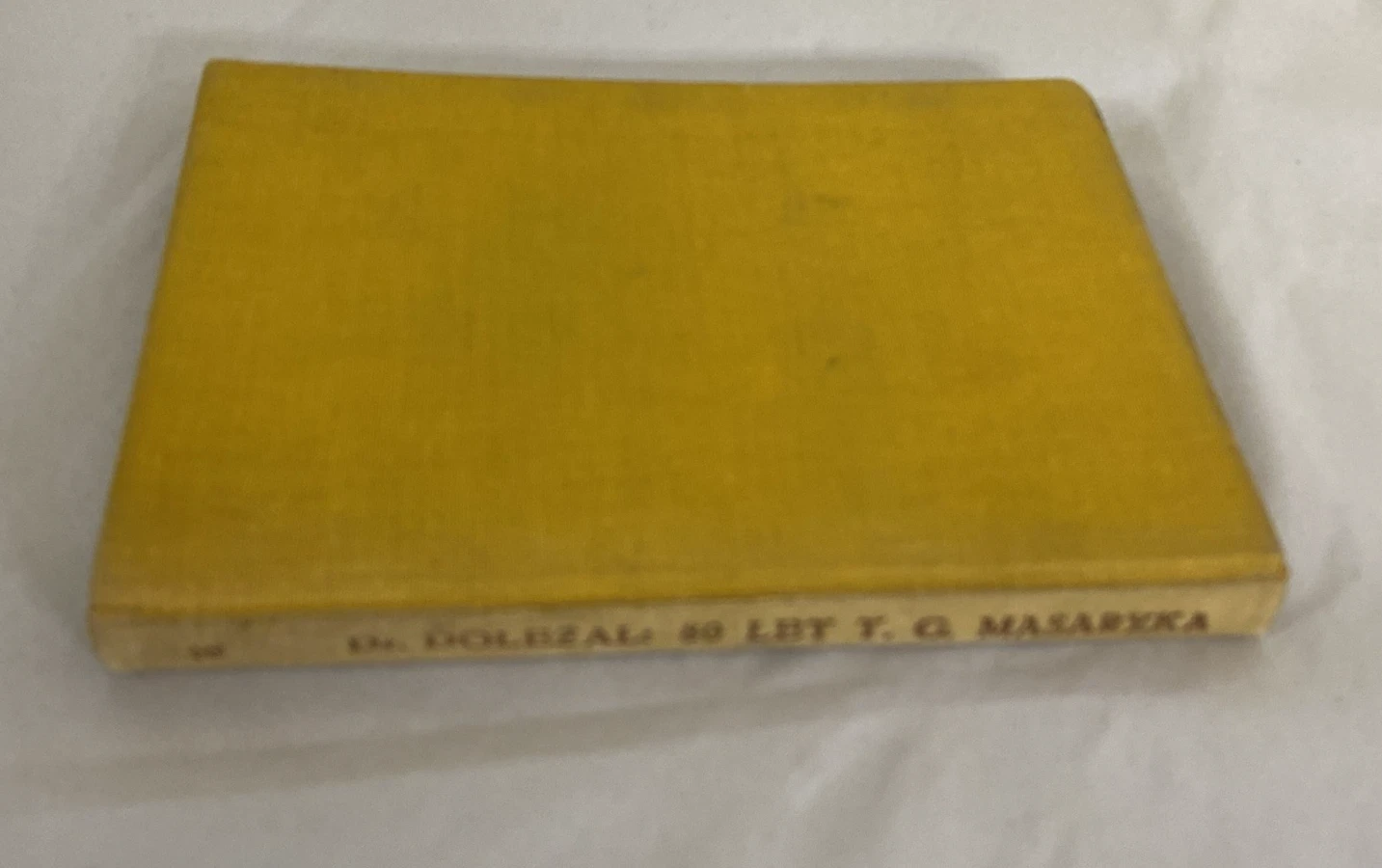 1929 80 Let T.G. Masaryka Jaromir Dolezal Czech Book Masaryk Prague - Image 10