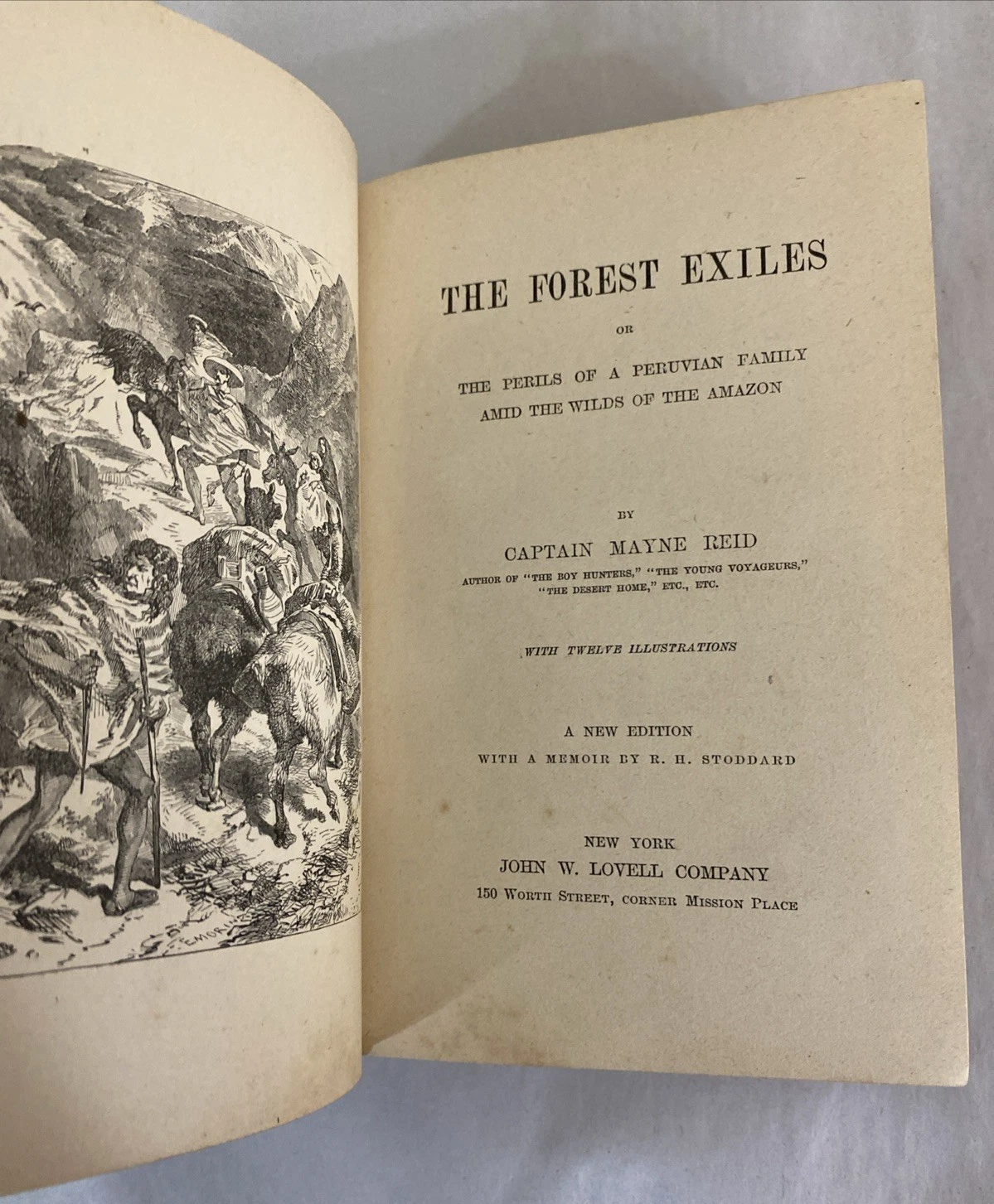 Forest Exiles Mayne Reid 1889 Lovell Victorian blue gilt boys adventure - Image 8