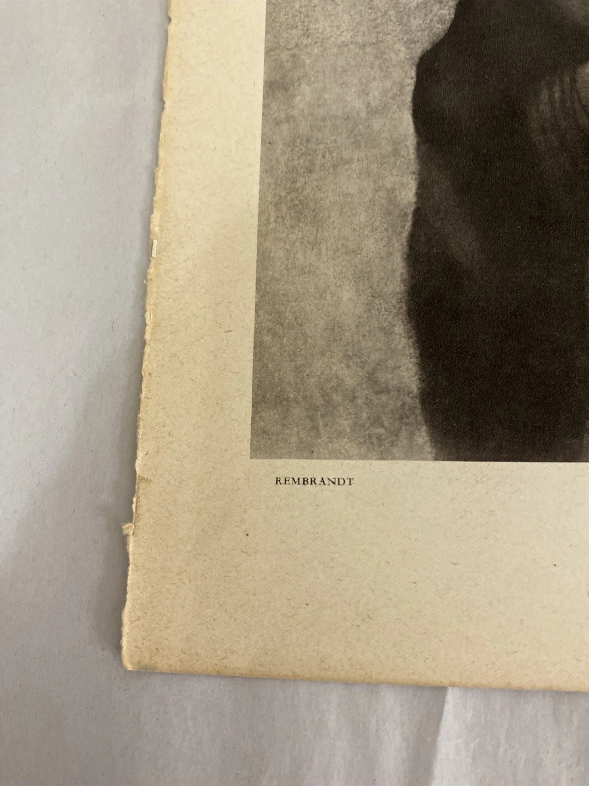1939 Verve Rembrandt leaf: Jewish Bride (detail) + Young Woman portrait gravure - Image 6